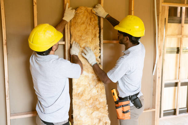 Best Insulation Removal  in East Uniontown, PA