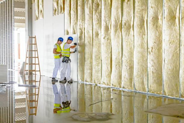 Best Insulation Replacement Services  in East Uniontown, PA